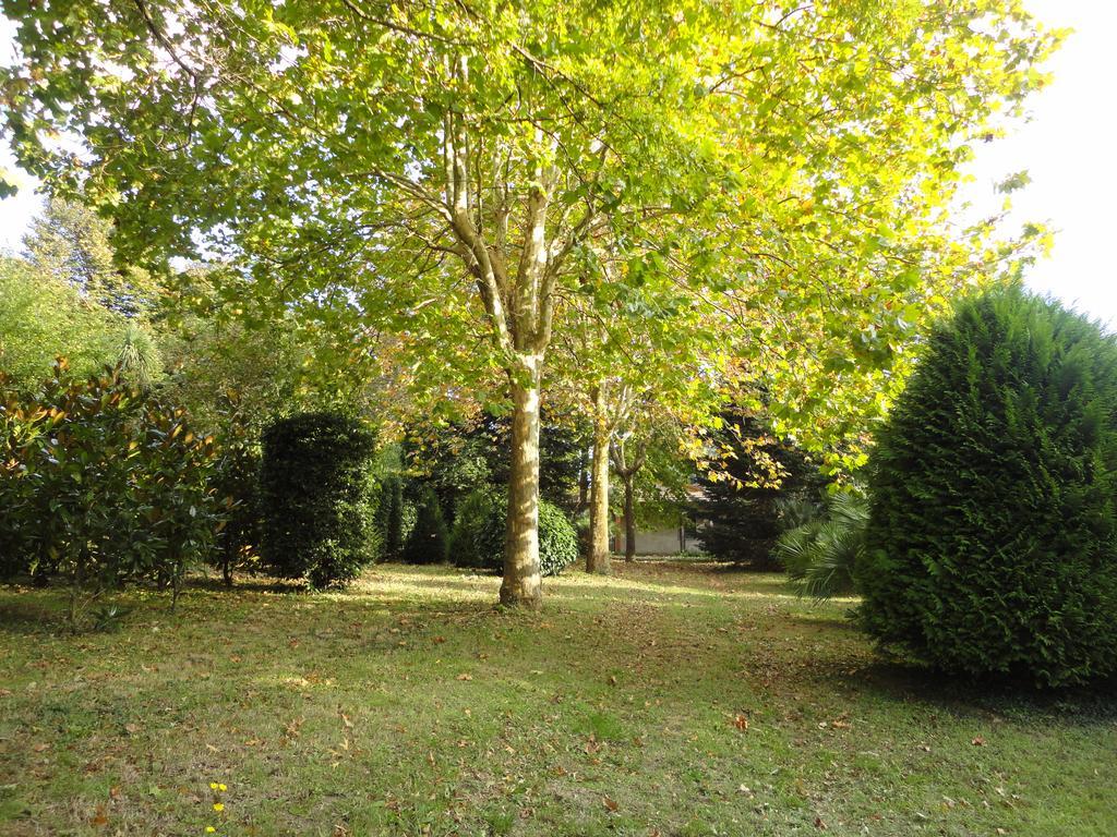Tenuta Montelaura Forino Luaran gambar