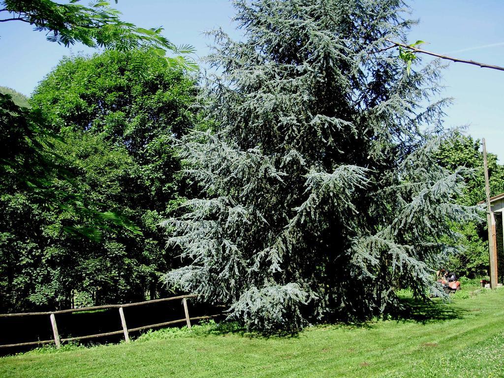 Tenuta Montelaura Forino Luaran gambar