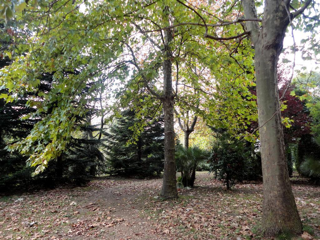 Tenuta Montelaura Forino Luaran gambar
