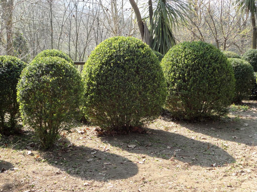 Tenuta Montelaura Forino Luaran gambar