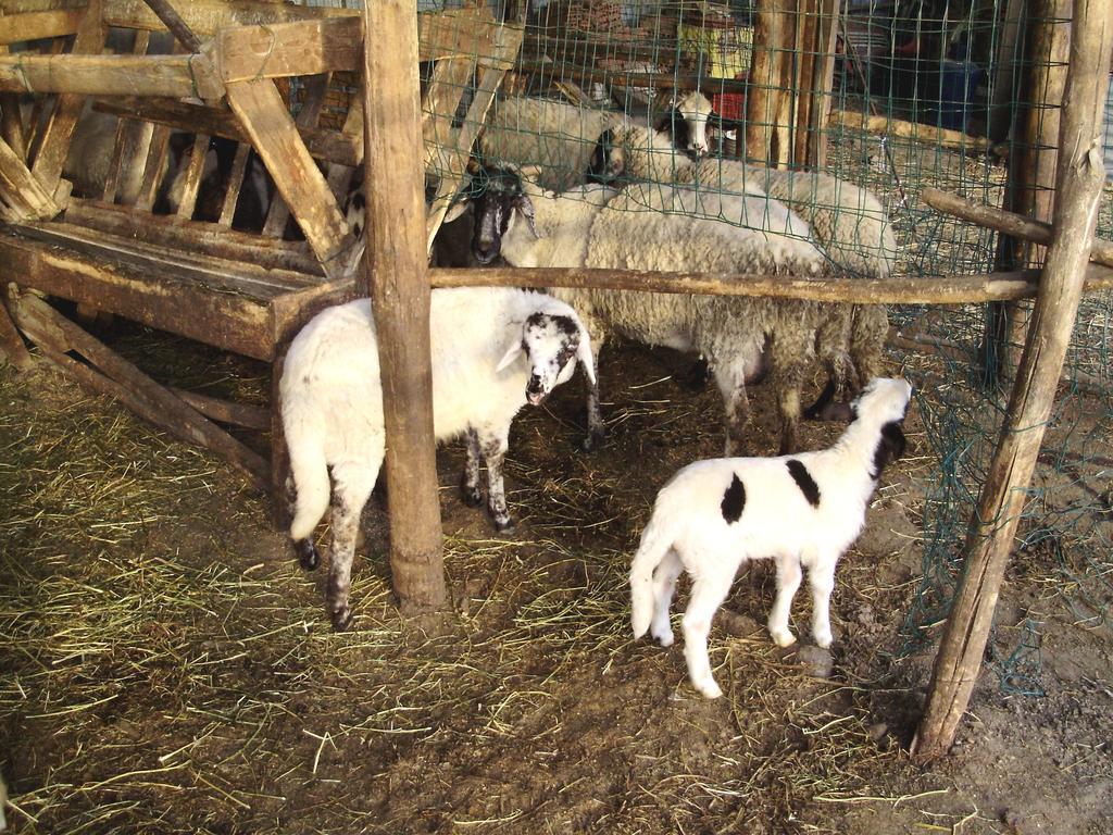 Tenuta Montelaura Forino Luaran gambar