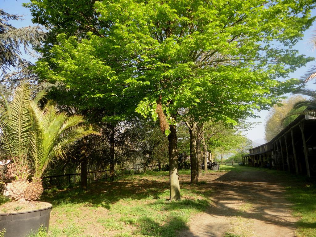 Tenuta Montelaura Forino Luaran gambar